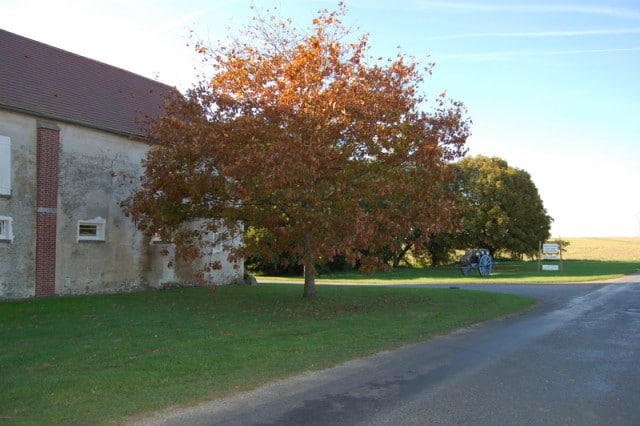 Ferme du Chasne Pommes de terre