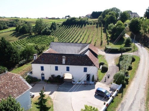 viticulteur bio Pyrénées atlantique