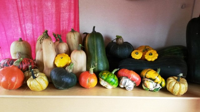 Permaculture