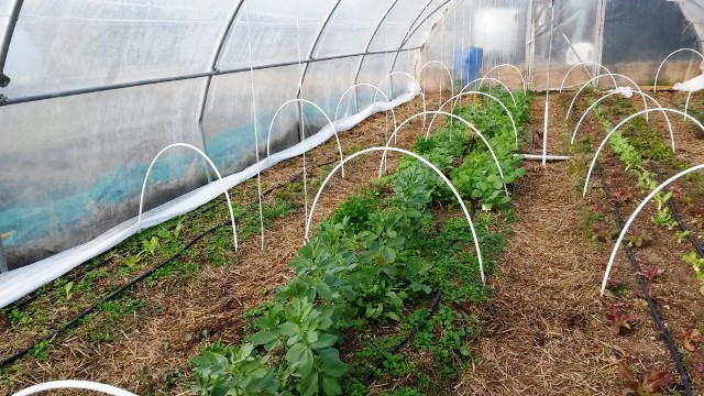 Permaculture