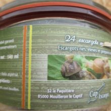 Acheter gros ou petits escargots gris en ligne au prix de 12€ au producteur