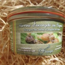 Acheter gros ou petits escargots gris en ligne au prix de 12€ au producteur