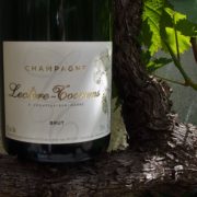 Champagne d'assemblage de Pinot Noir, Pinot meunier et de Chardonnay