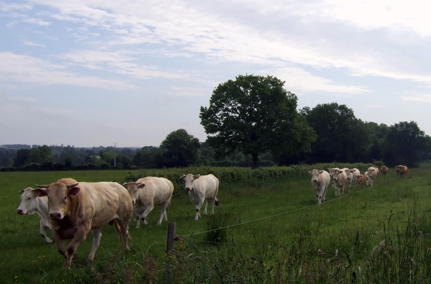 Ferme de l’Ansiguière