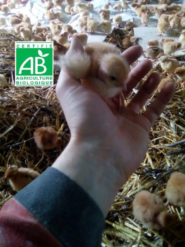 Ferme du Lasset