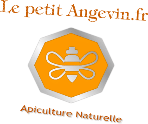 Apiculteur Miel Maine et Loire