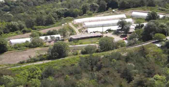 Ferme