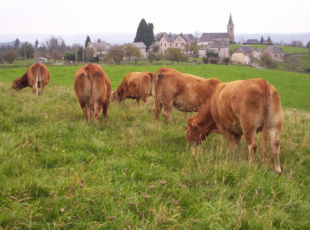 la ferme de Blandine