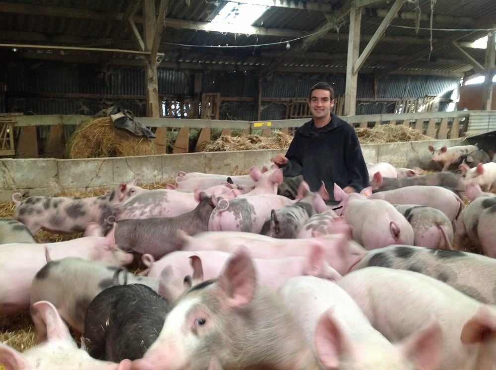 producteur porc loir et cher