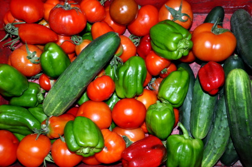 légumes bio aveyron