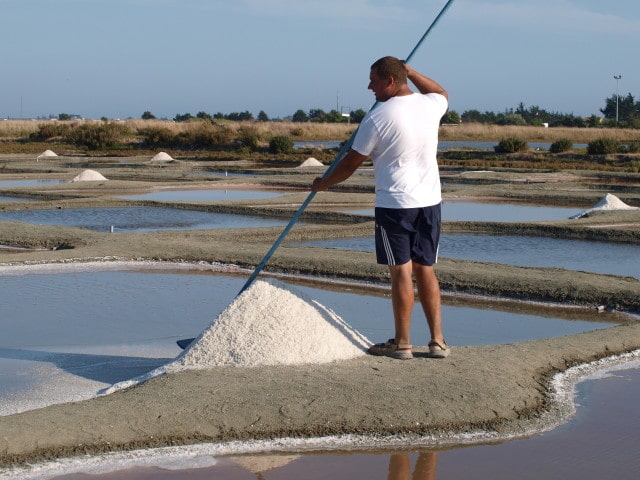 Marais salants sel Vendée