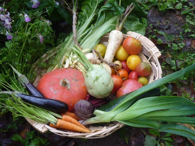 maraîchage fruits légumes hérault