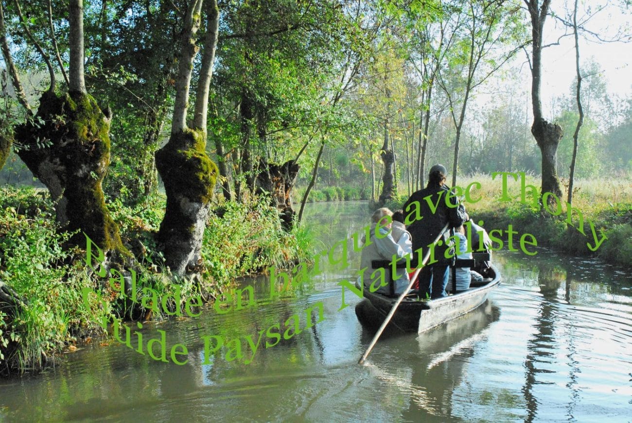 Thony Martins Guide Paysan Naturaliste