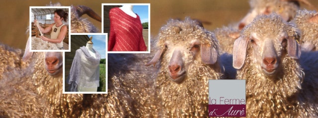 chèvre angora laine hérault
