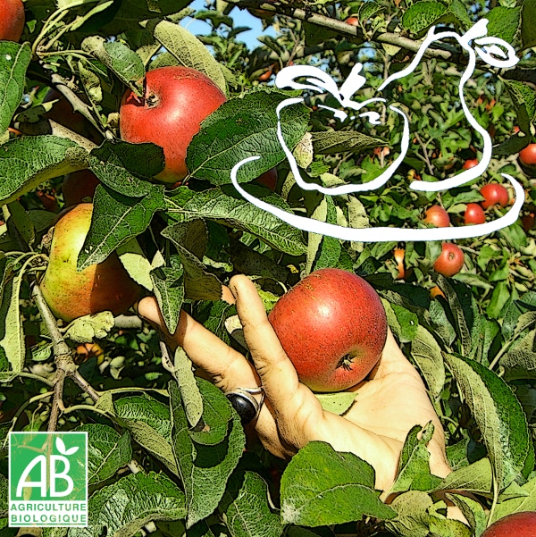 producteur arboriculteur vendée