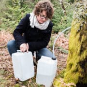 Seve de Bouleau Du Limousin