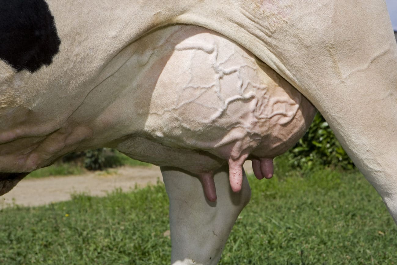 GAEC DU LATHAN