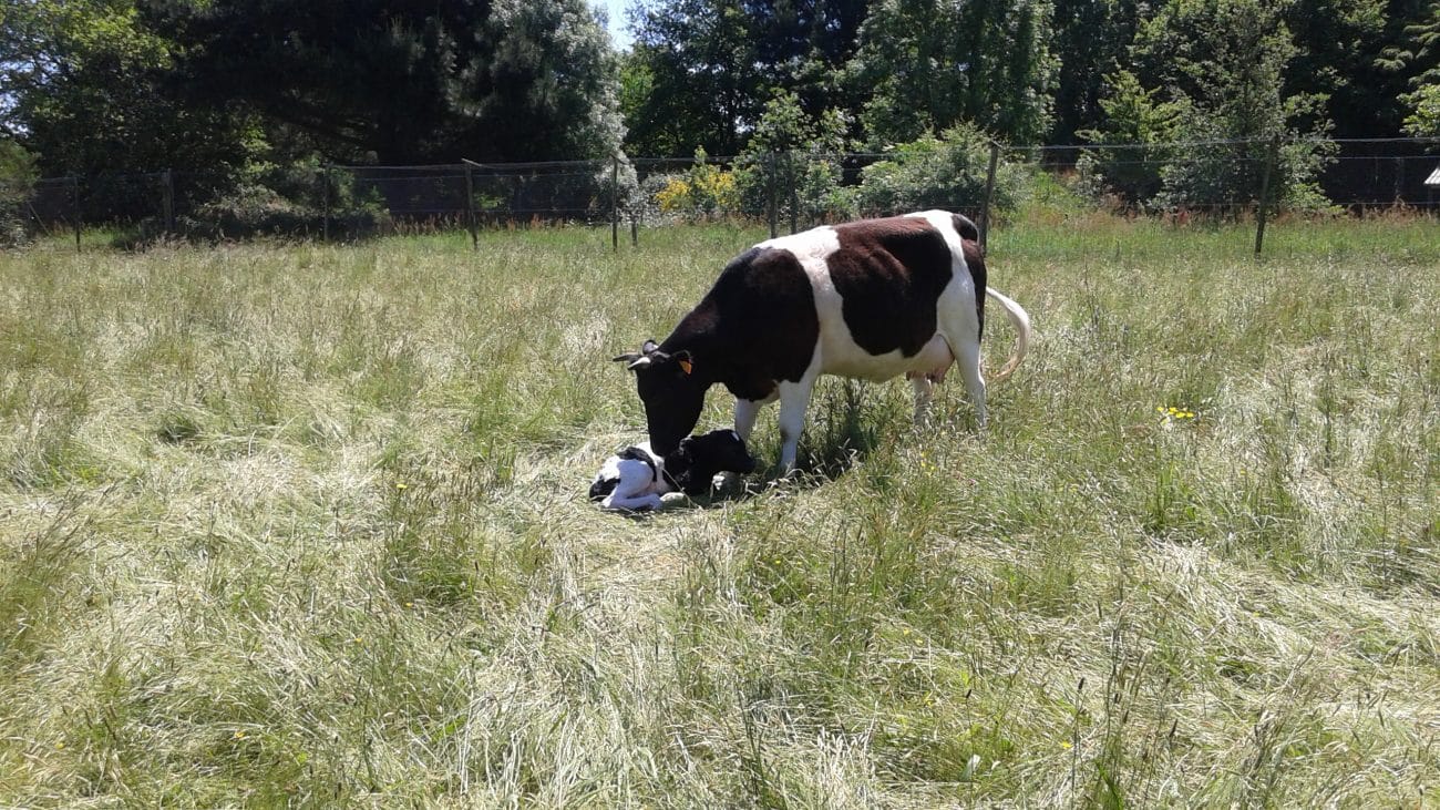 Ferme des Belles Landes