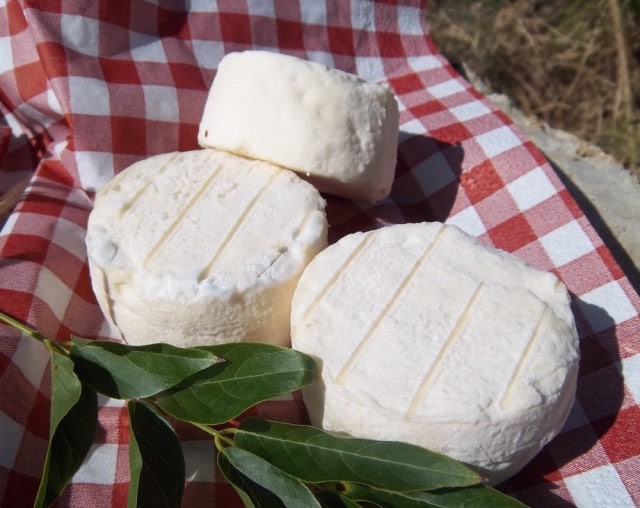 Cet annuaire de vente directe, du producteur au consommateur, référence les produits fermiers locaux en vente (vin, miel, pommes, viande, légumes, bio...).