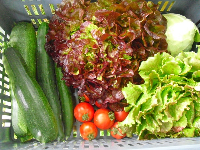 producteur bio corrèze