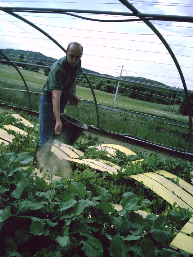 producteur belgique escargot