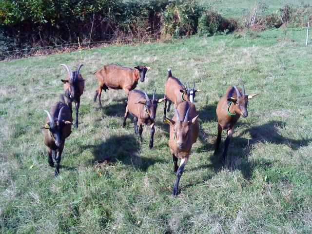 producteur bio corrèze