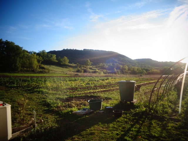 producteur légumes aveyron