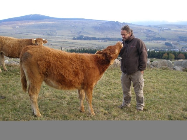 producteur viande haute loire