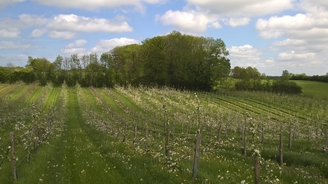 cidrerie ardennes