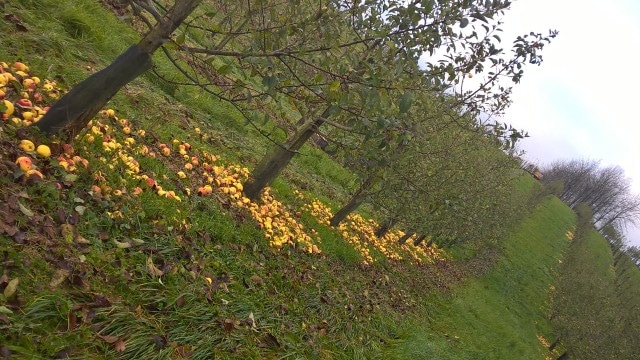 cidrerie ardennes