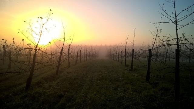 cidrerie ardennes