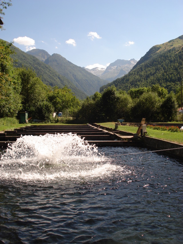 Pisciculture de la Neste d’Oô « PESCAD’Oô »