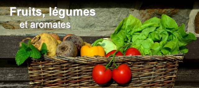 producteur fruits légumes aveyron