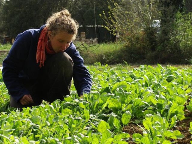 producteur bio gard