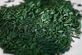HORUS SPIRULINE