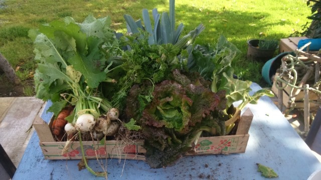 Producteur permaculture Côtes d'Armor