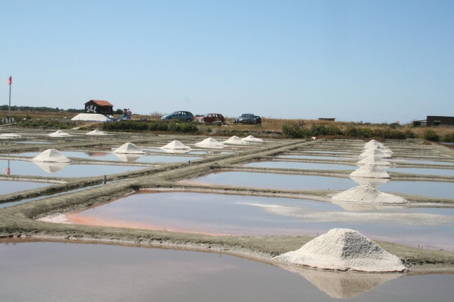 Marais salants sel Vendée