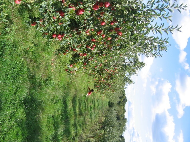 producteur arboriculteur vendée