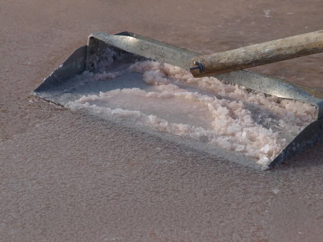 Marais salants sel Vendée