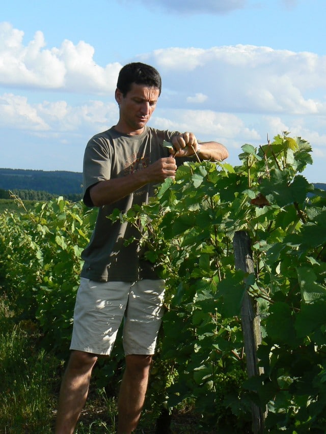 viticulteur indre et loire