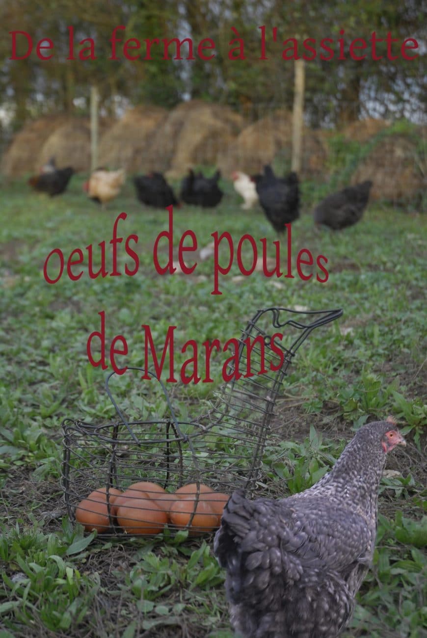Thony Martins Guide Paysan Naturaliste