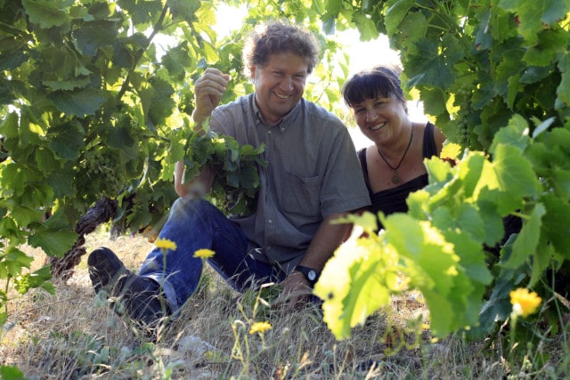 viticulteur vin hérault