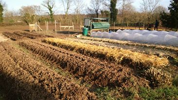 Producteur permaculture Côtes d'Armor