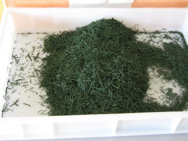 Spiruline Atoufred