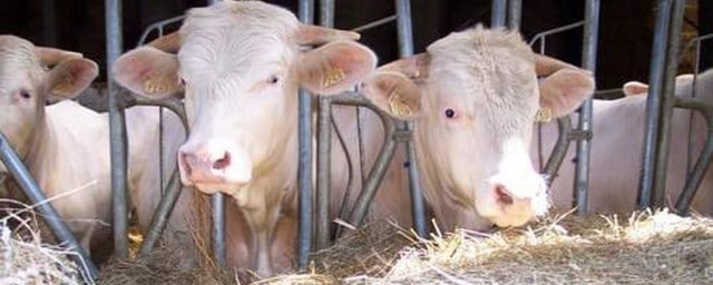 ferme deLa Harnoterie