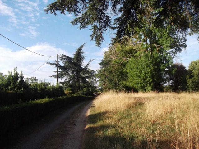 Au Bio Potager