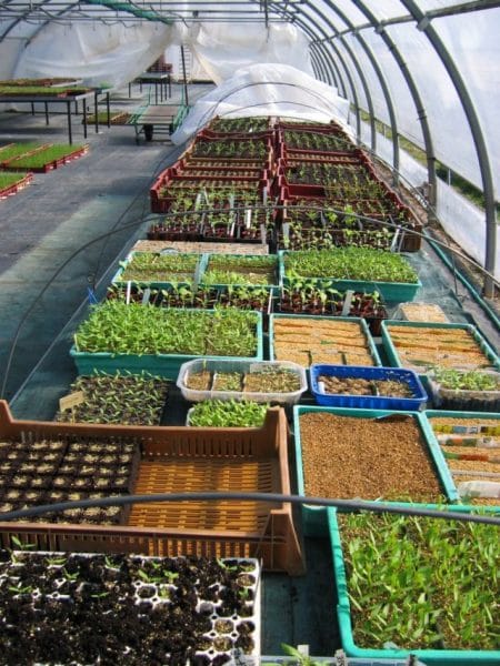 Au Bio Potager