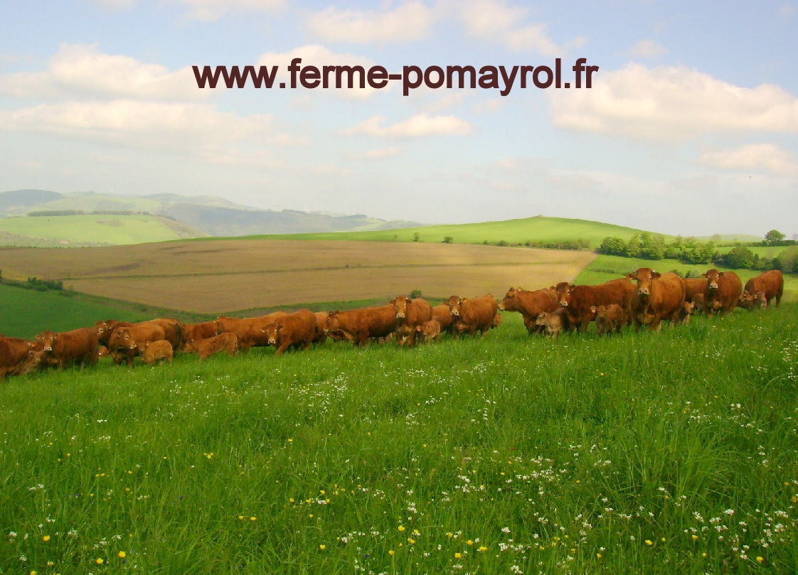 FERME POMAYROL