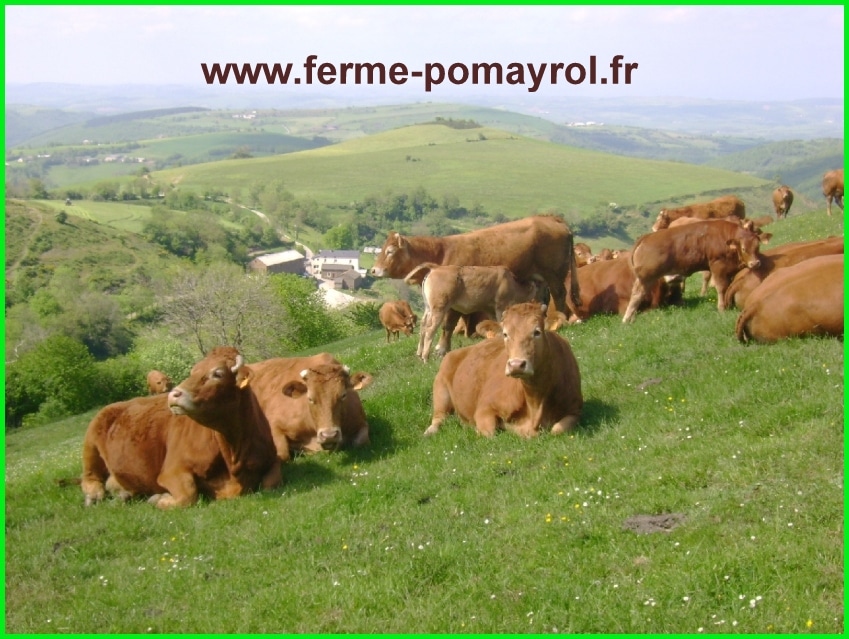 FERME POMAYROL
