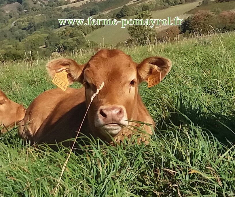 FERME POMAYROL